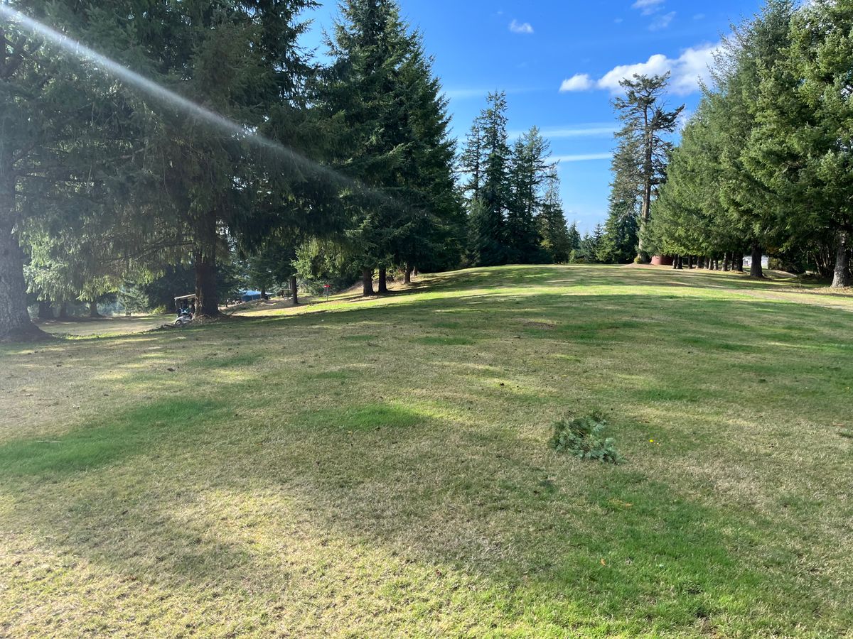 12’s fairway