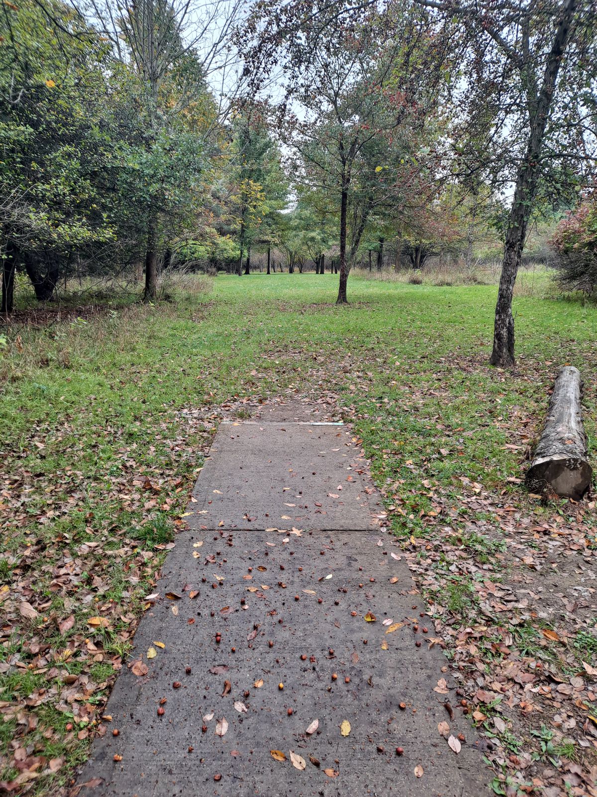 Hole 3