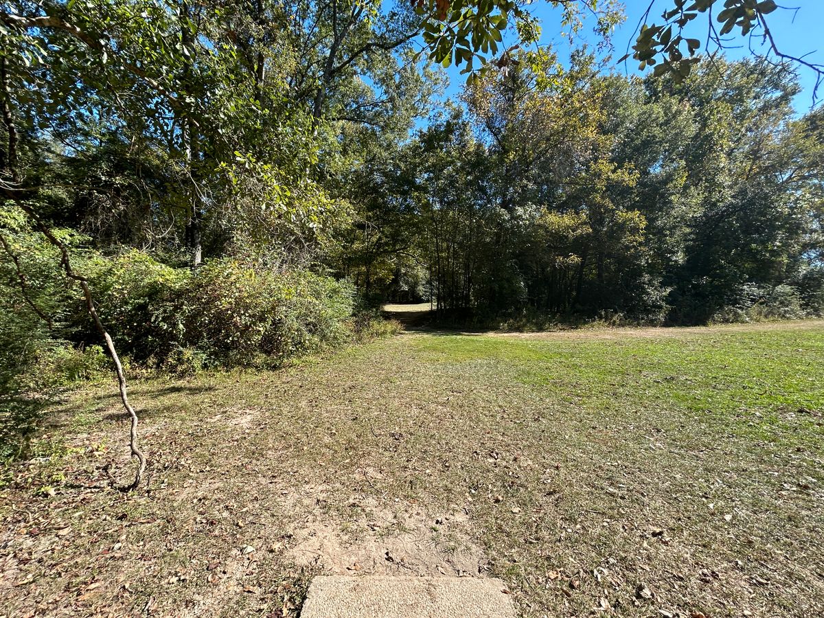 Hole 2 Fairway