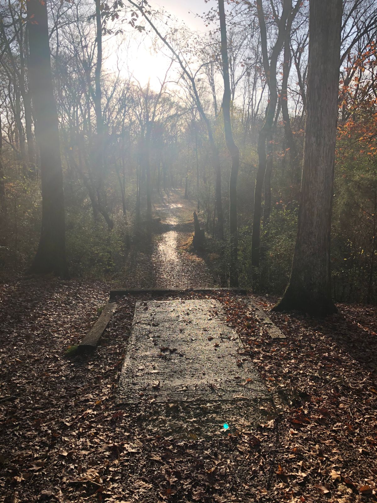 Hole 14