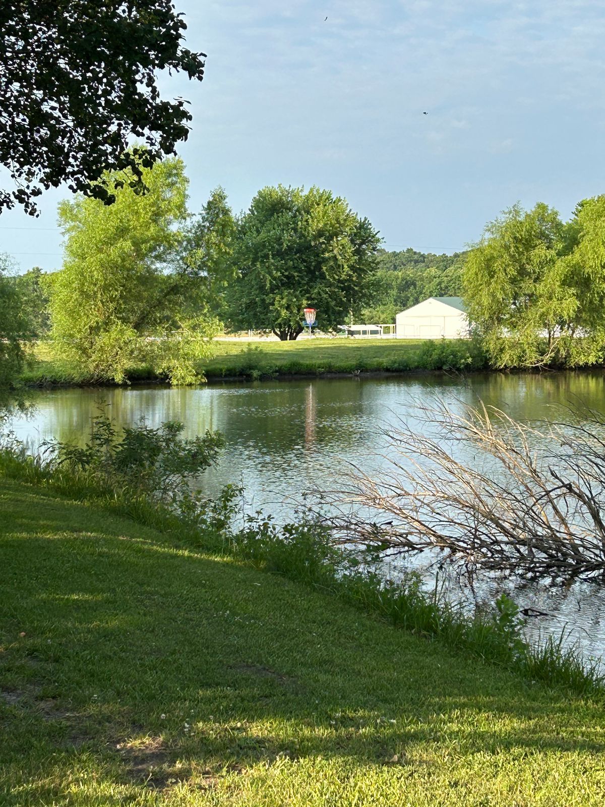Hole #6 look over the pond to the basket