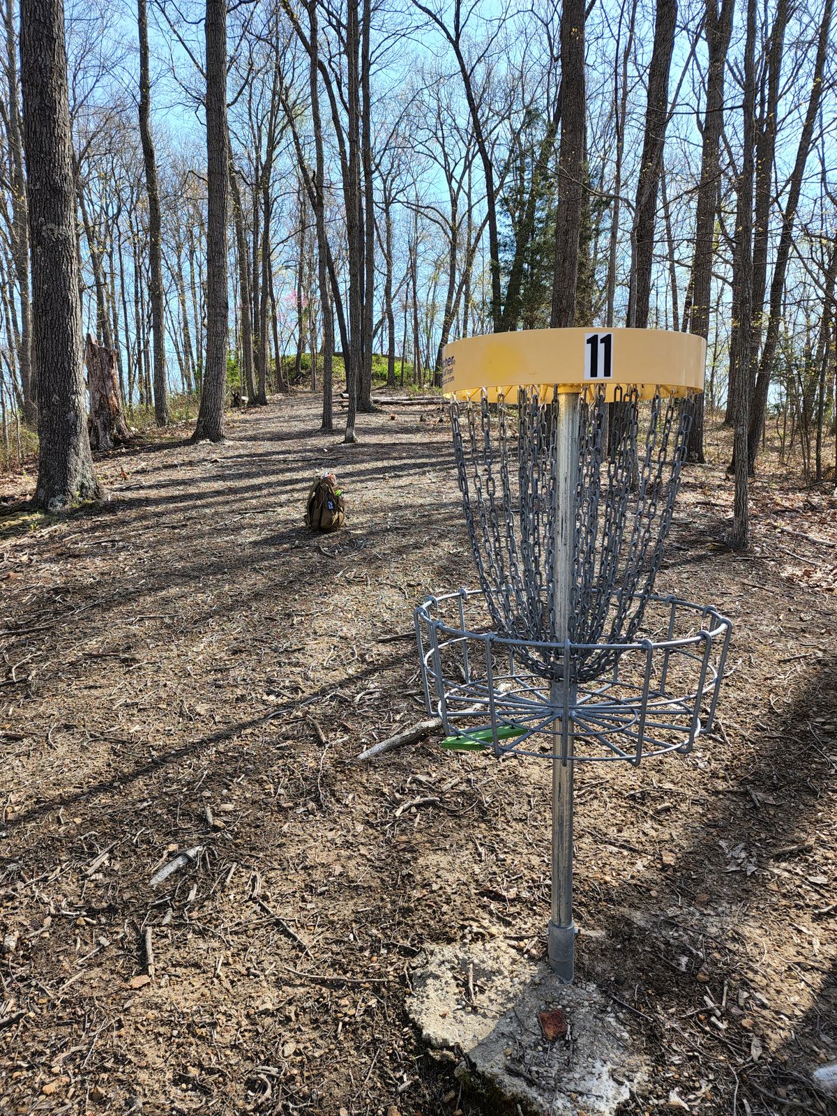 Hole 11 basket looking up towards tee