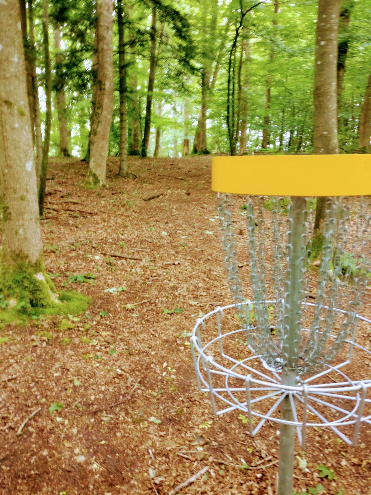 Hole 8