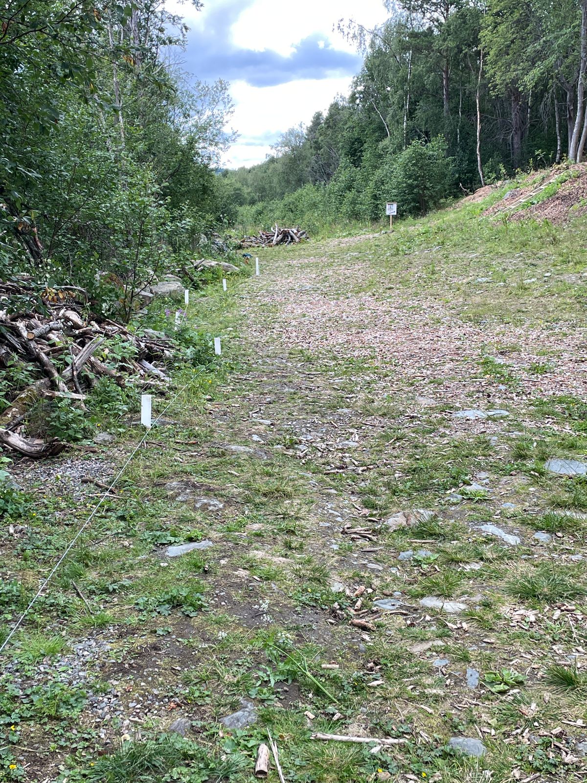 OB-linje langs elva.