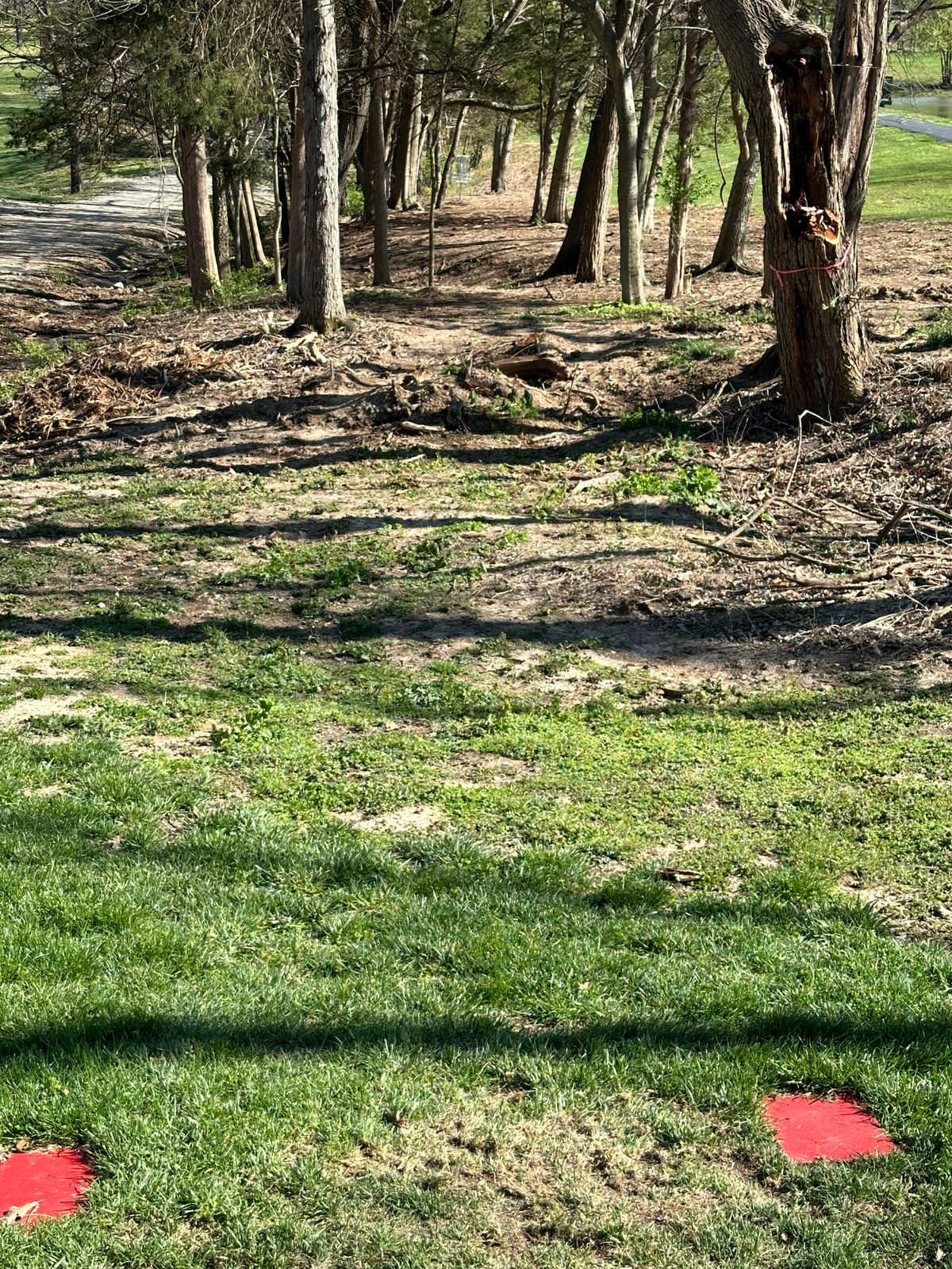 Hole 7