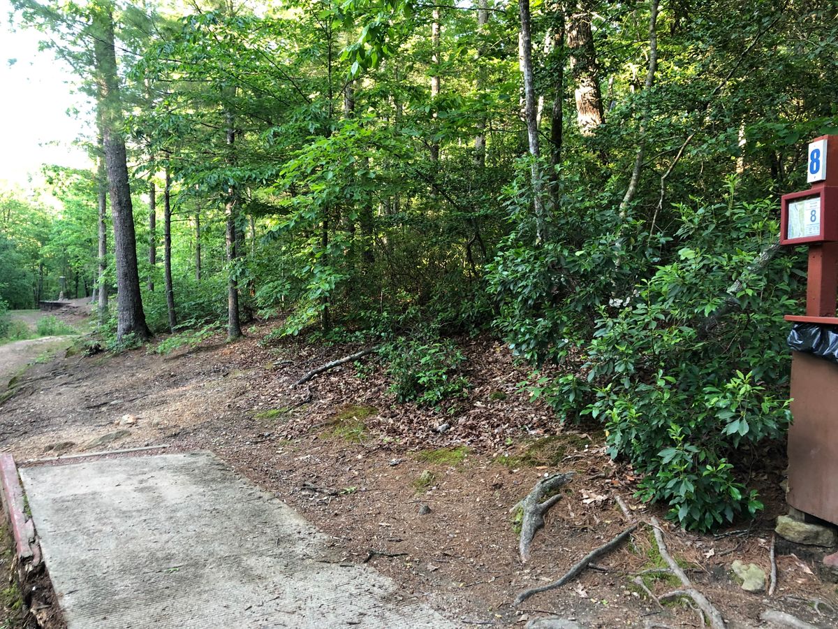 Hole 8 Launch Pad