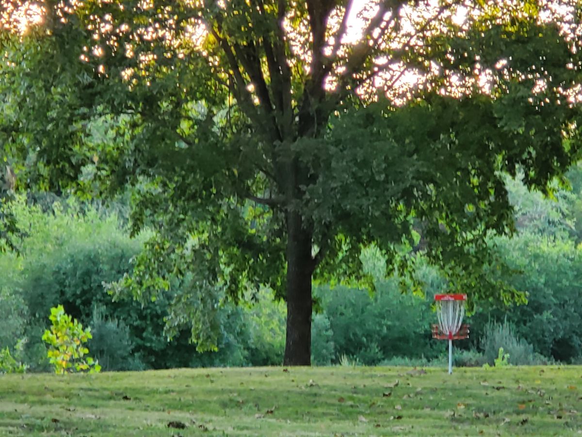 Basket 6 at dusk.
