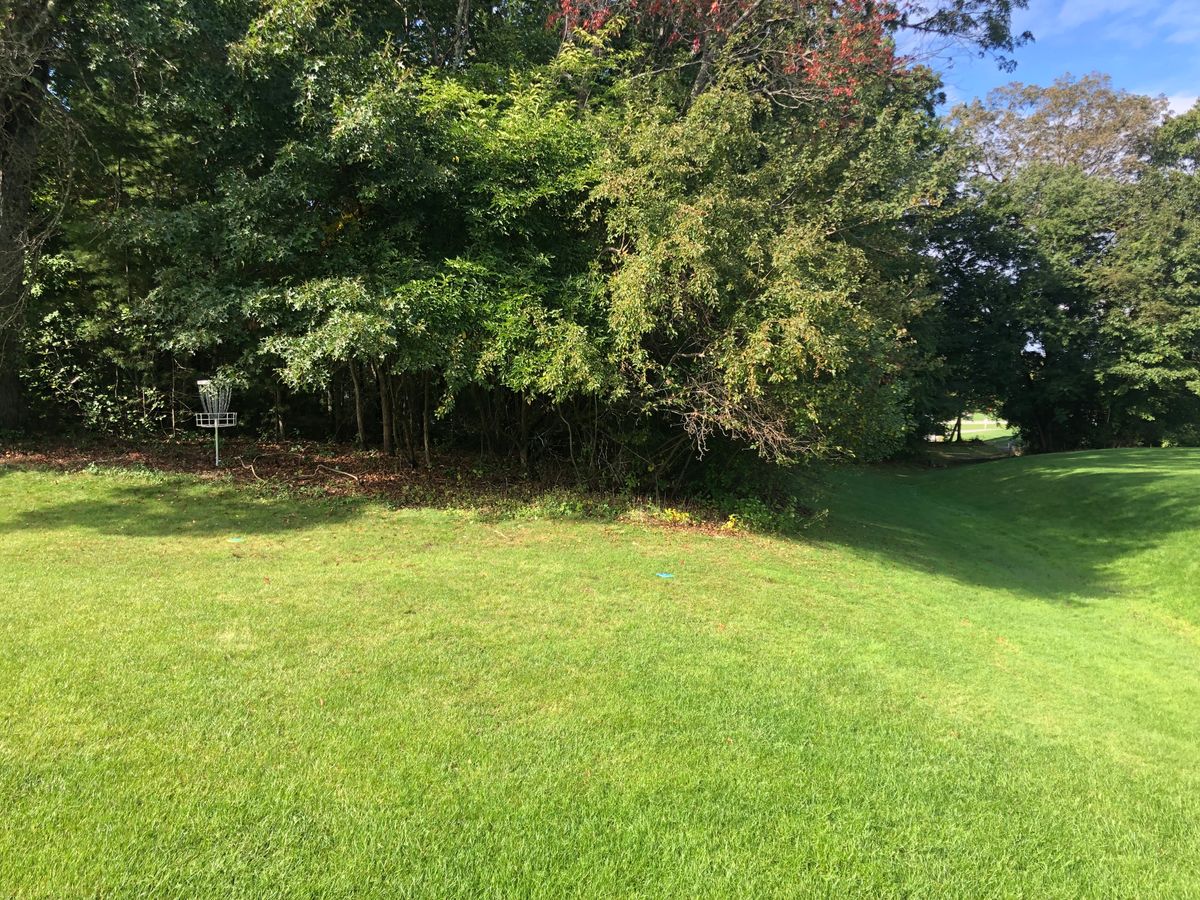 Hole 3 basket
