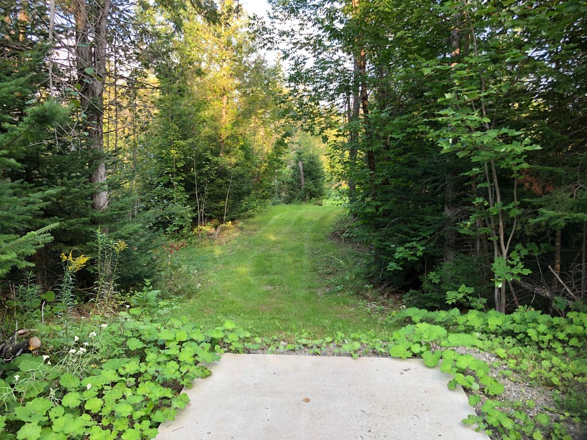 Basket 18 tee pad