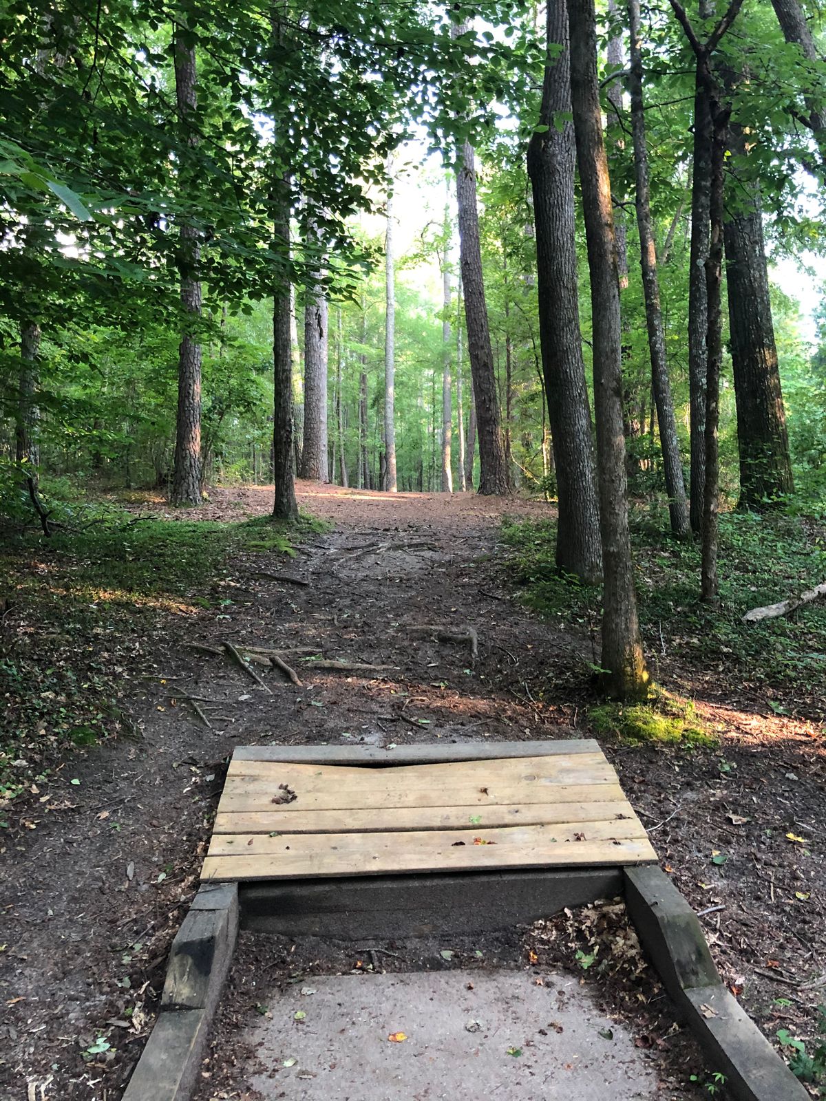 Hole 11 tee.