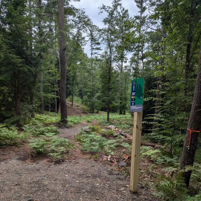 Hole 9