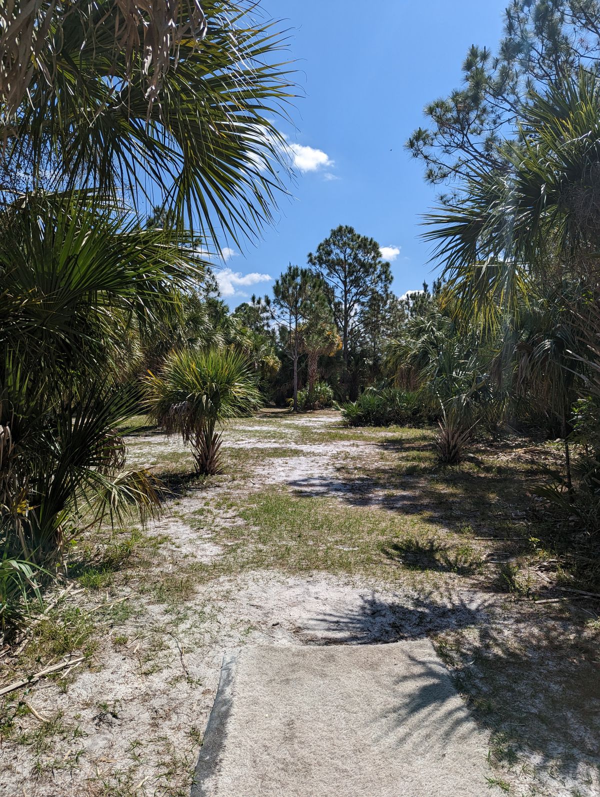 Hole 18 Short Tee