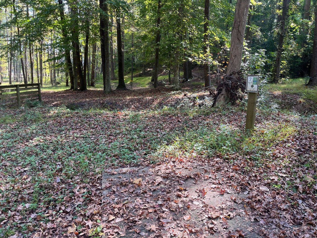 Hole 7 tee