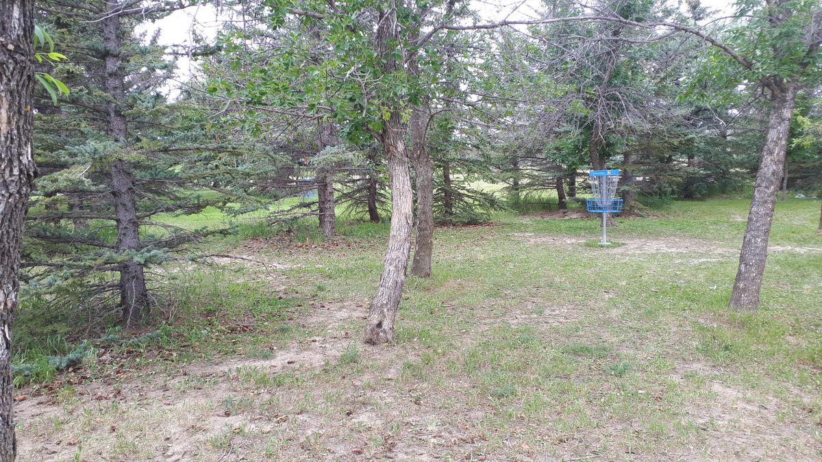 Green of hole 2.