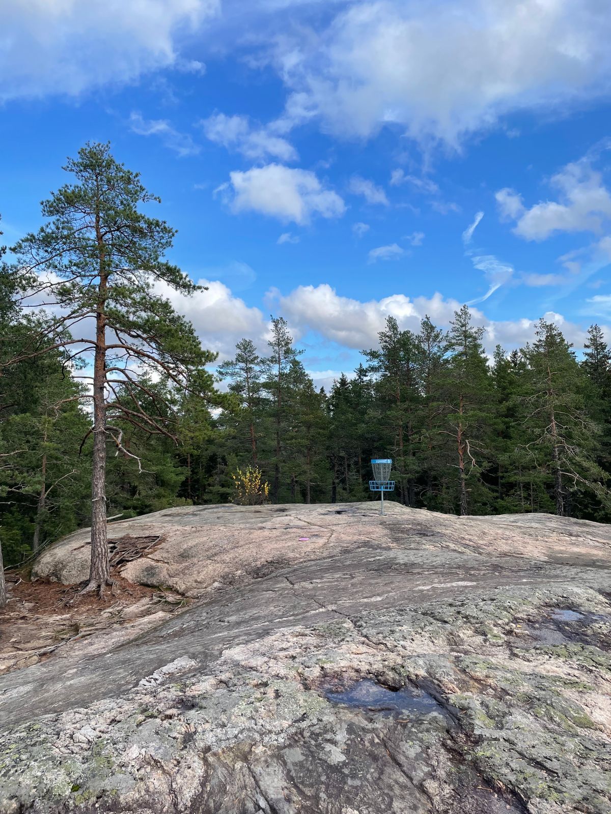 Väylä #5