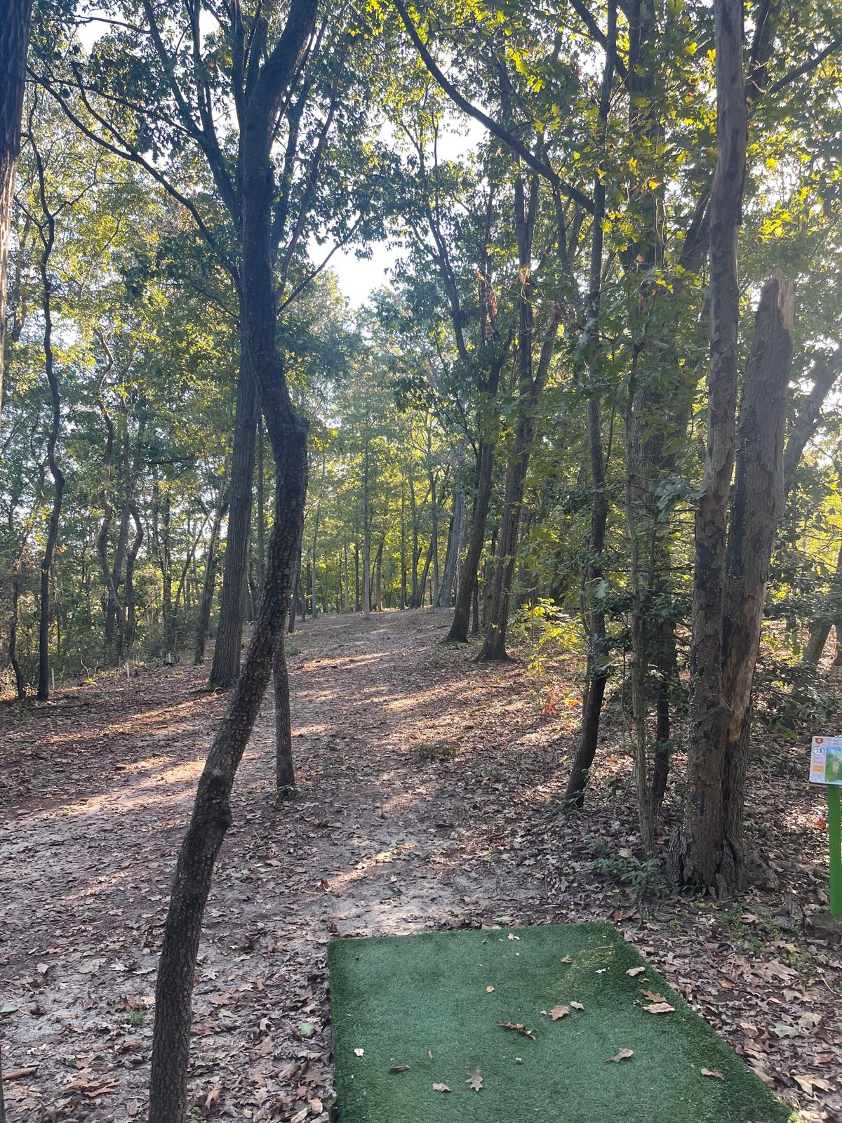 Hole 11