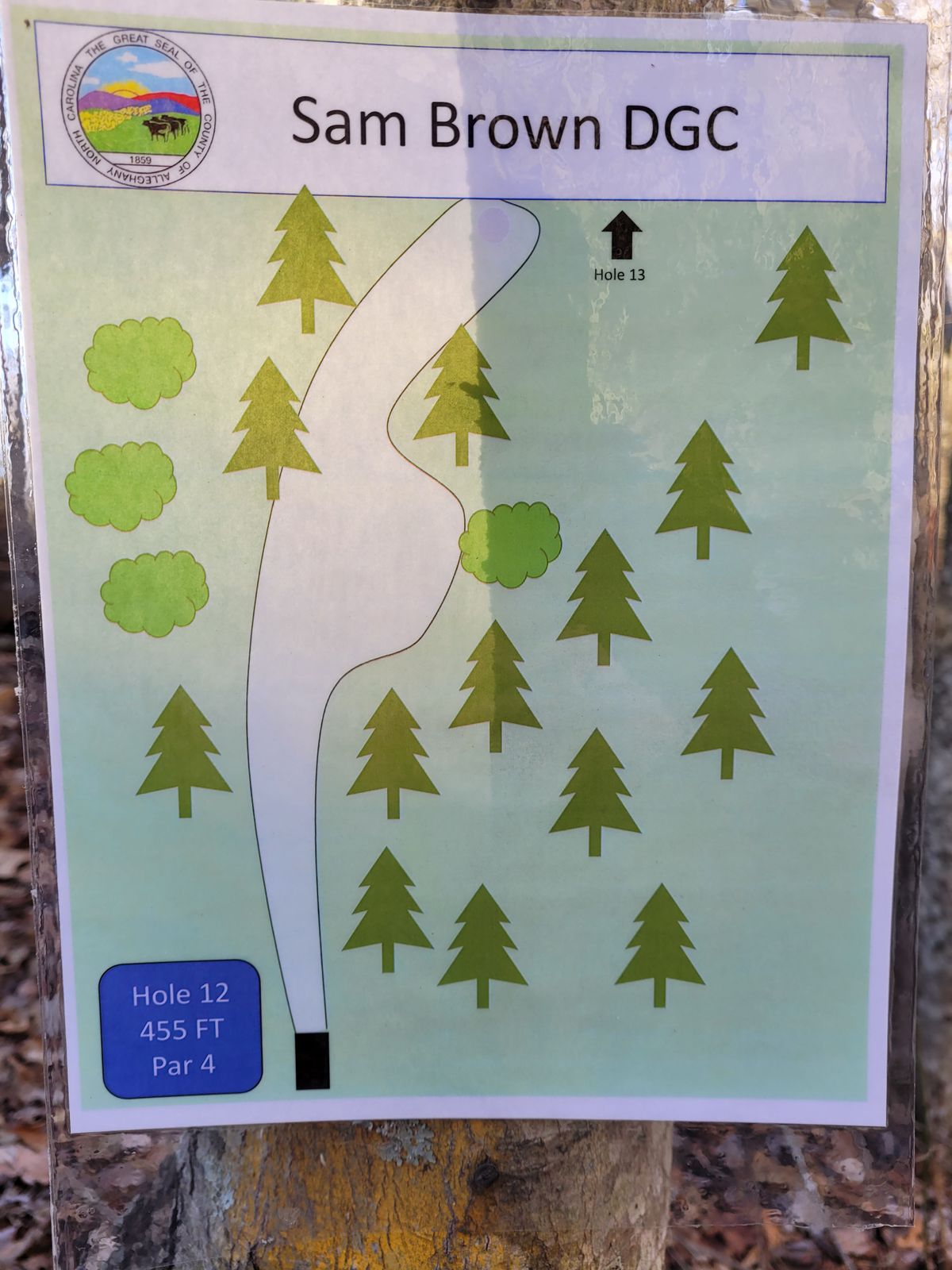 Hole #12 map