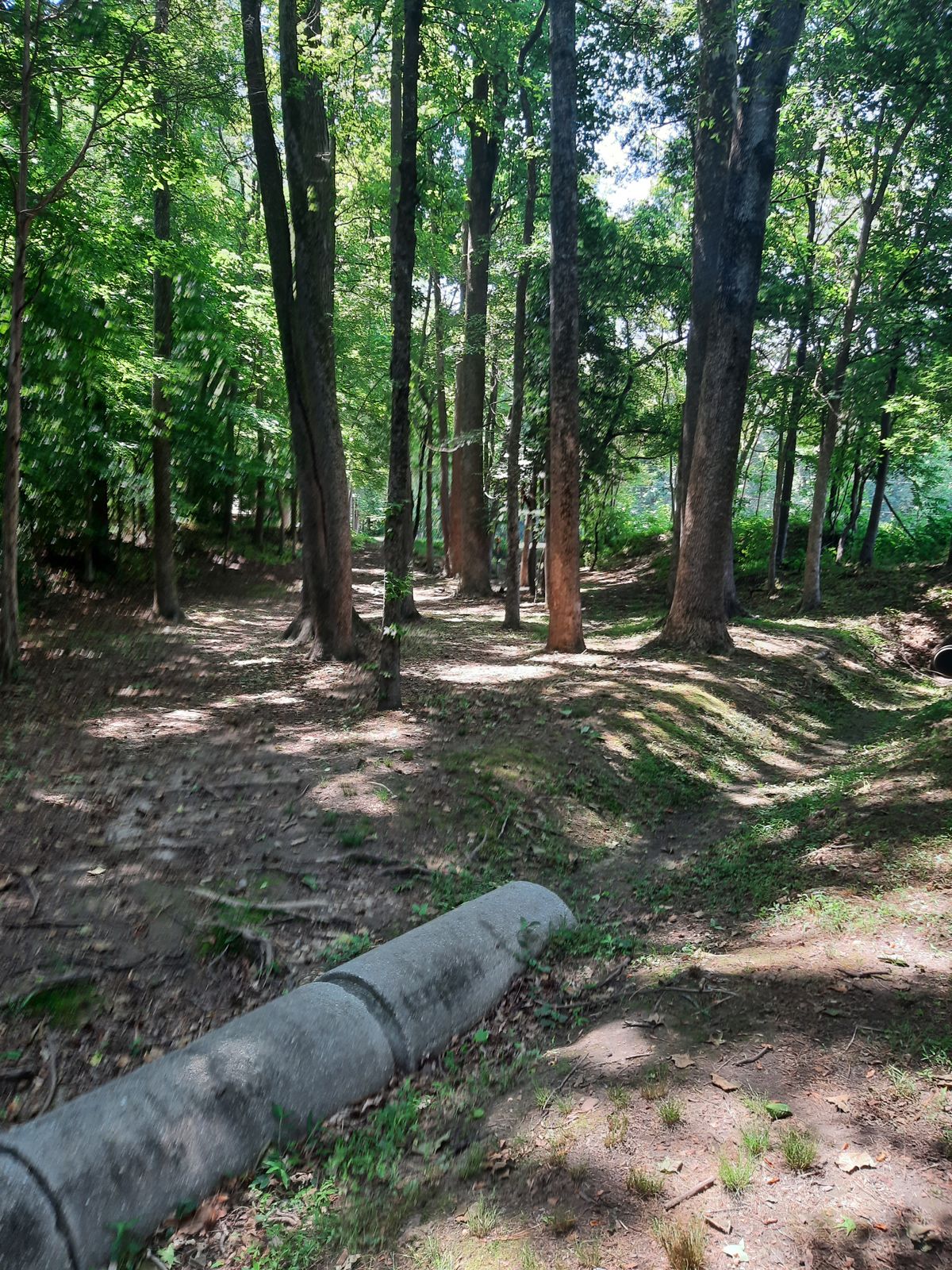 Hole 6 Fairway