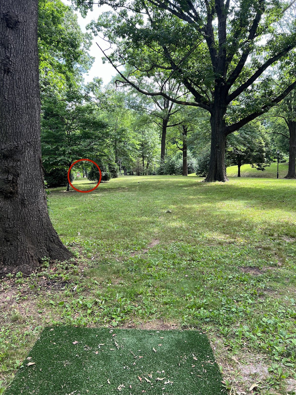 Hole 3