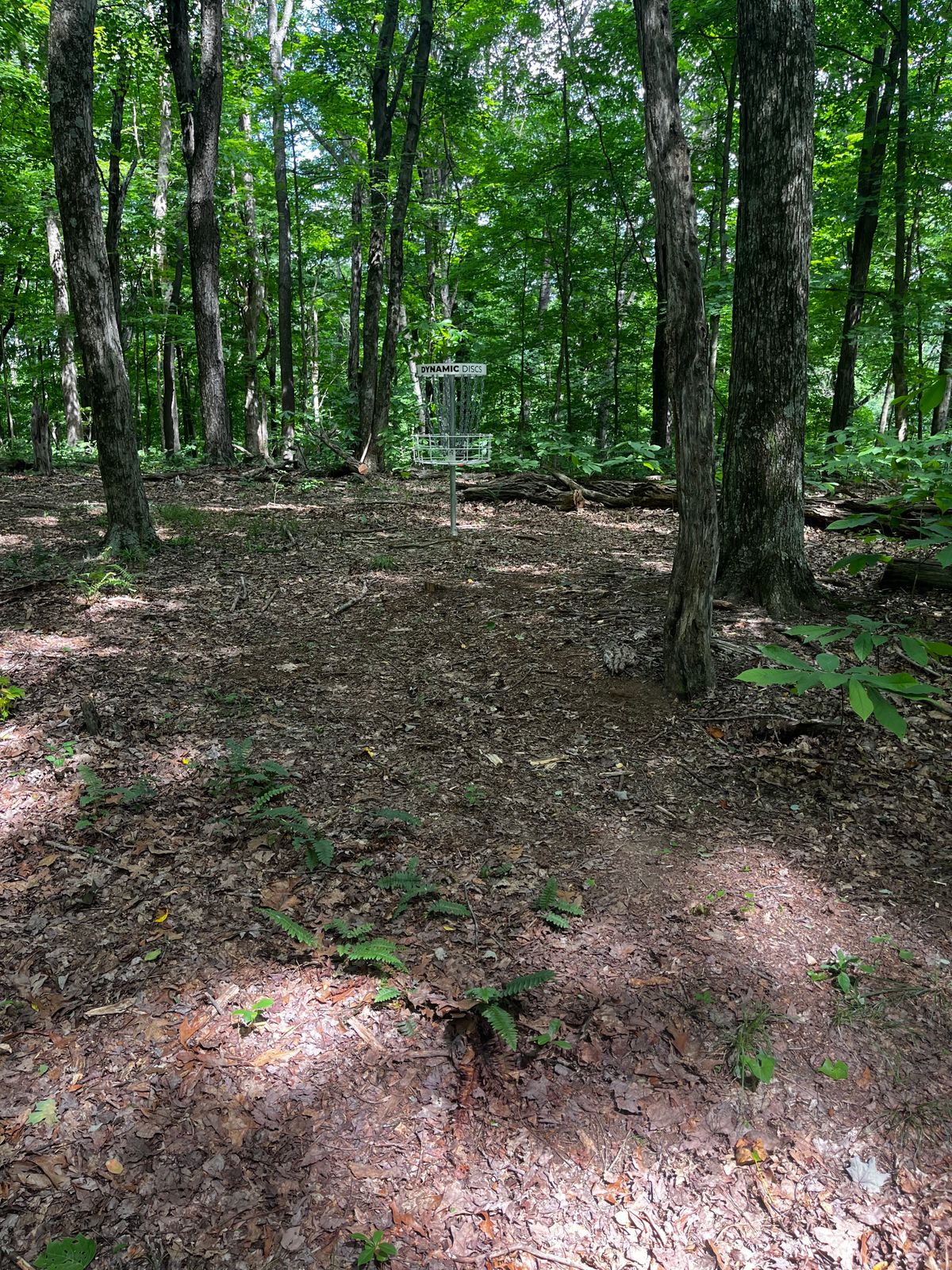 Hole 16 green