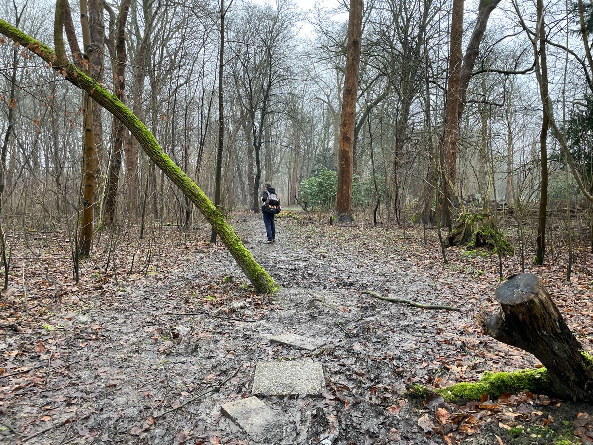 Bahn 14 / Hole 14