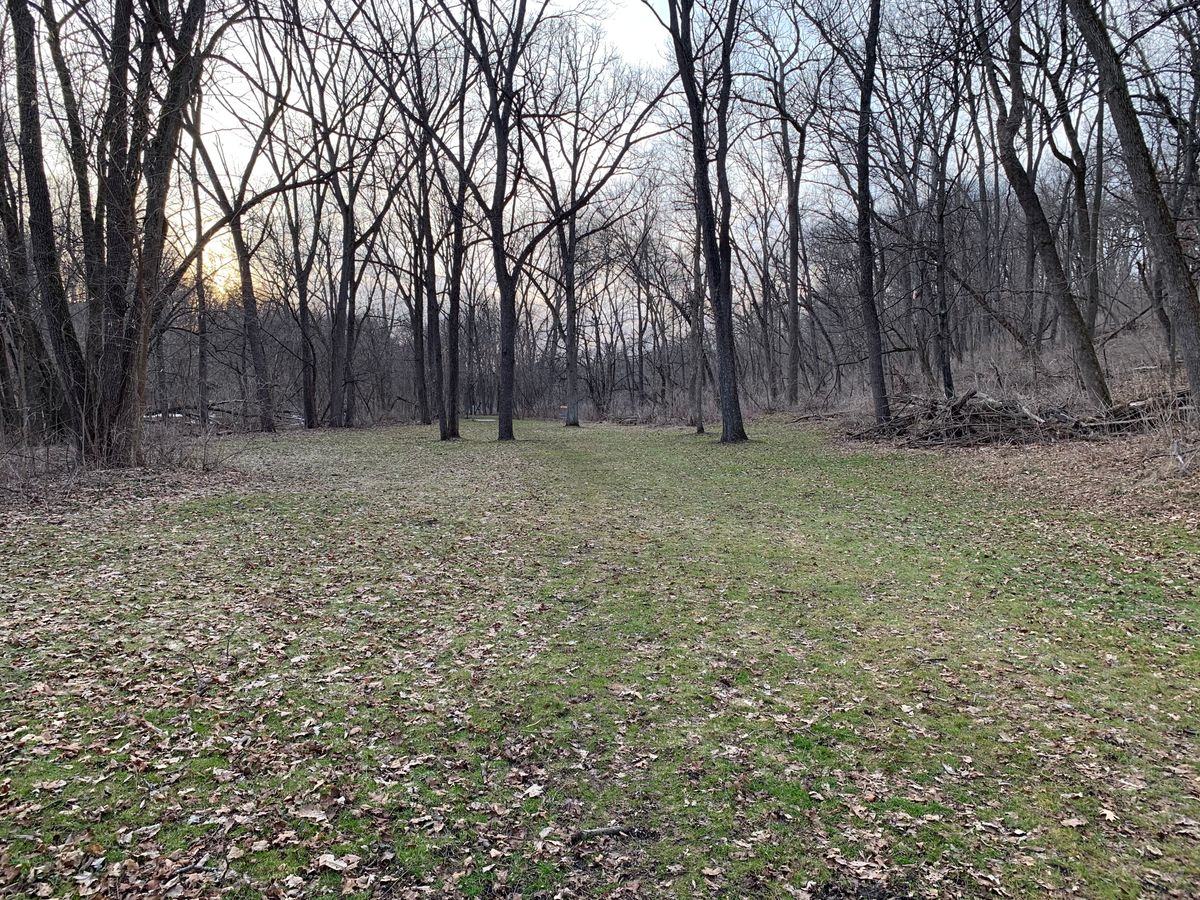 5 fairway