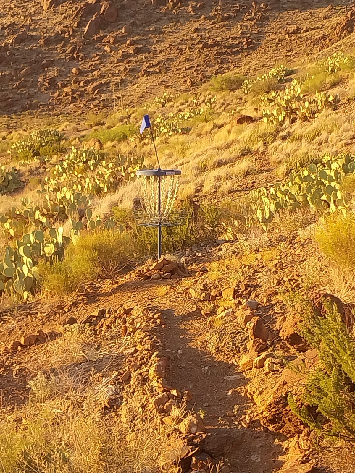 Extreme Desert Disc Golf