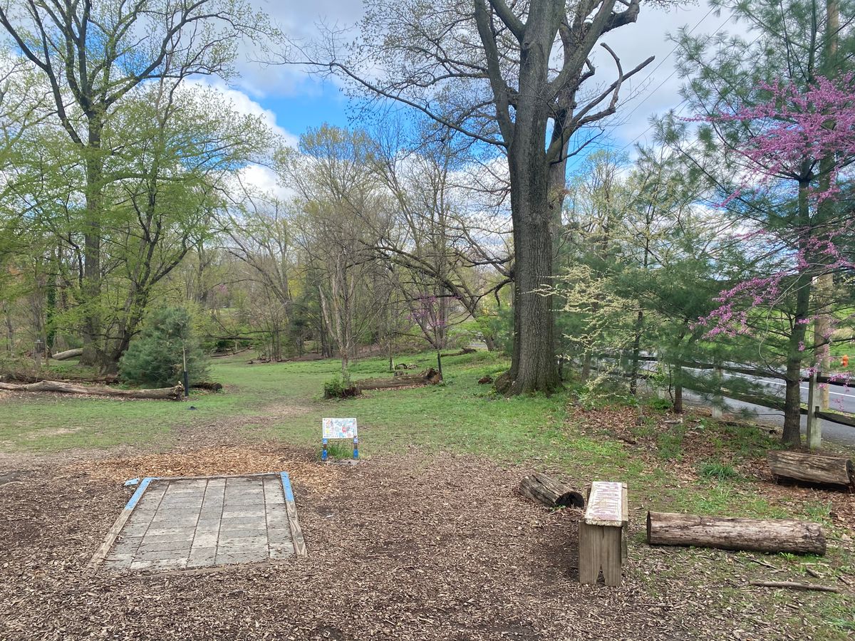 Hole 2 Blue