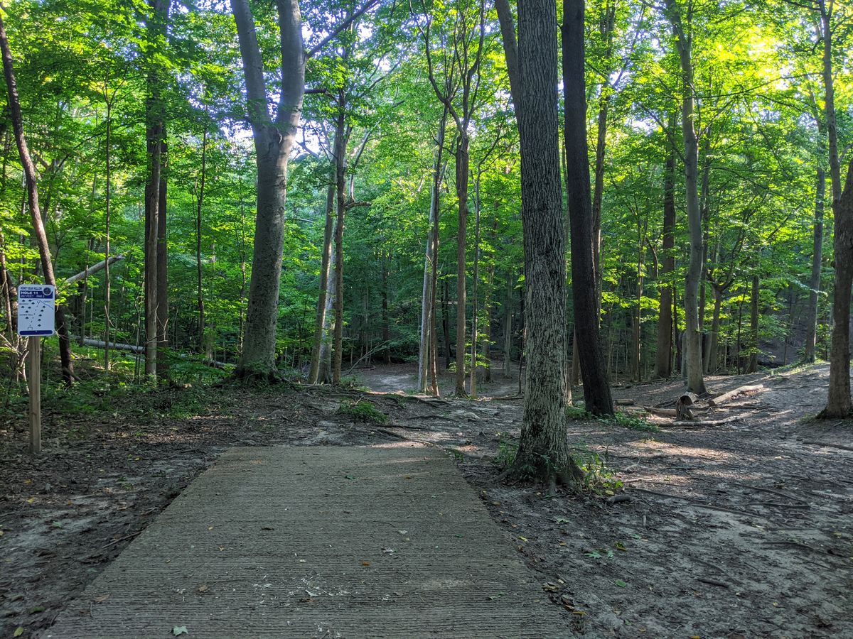Hole 11