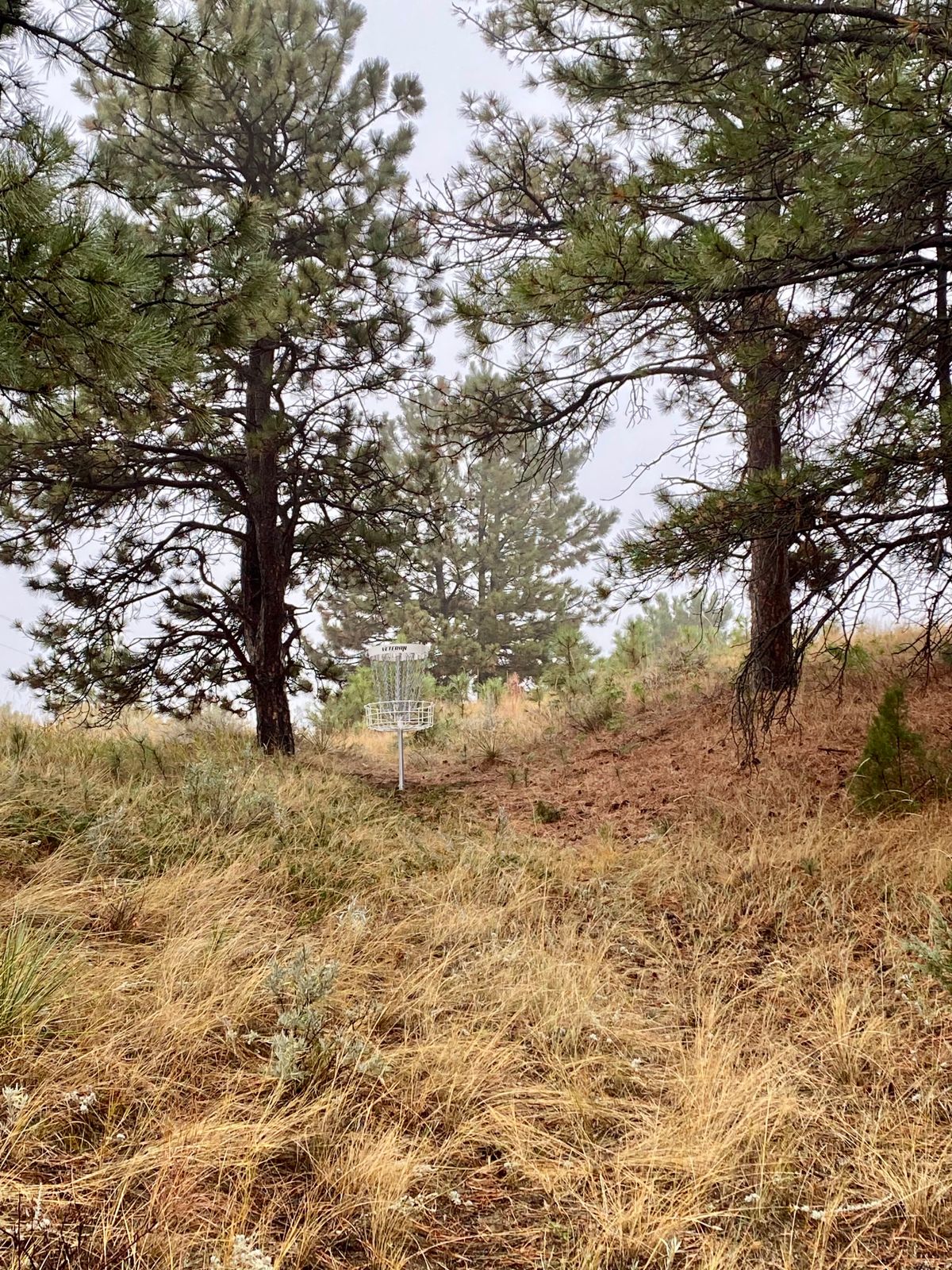 Hole 2 A pin