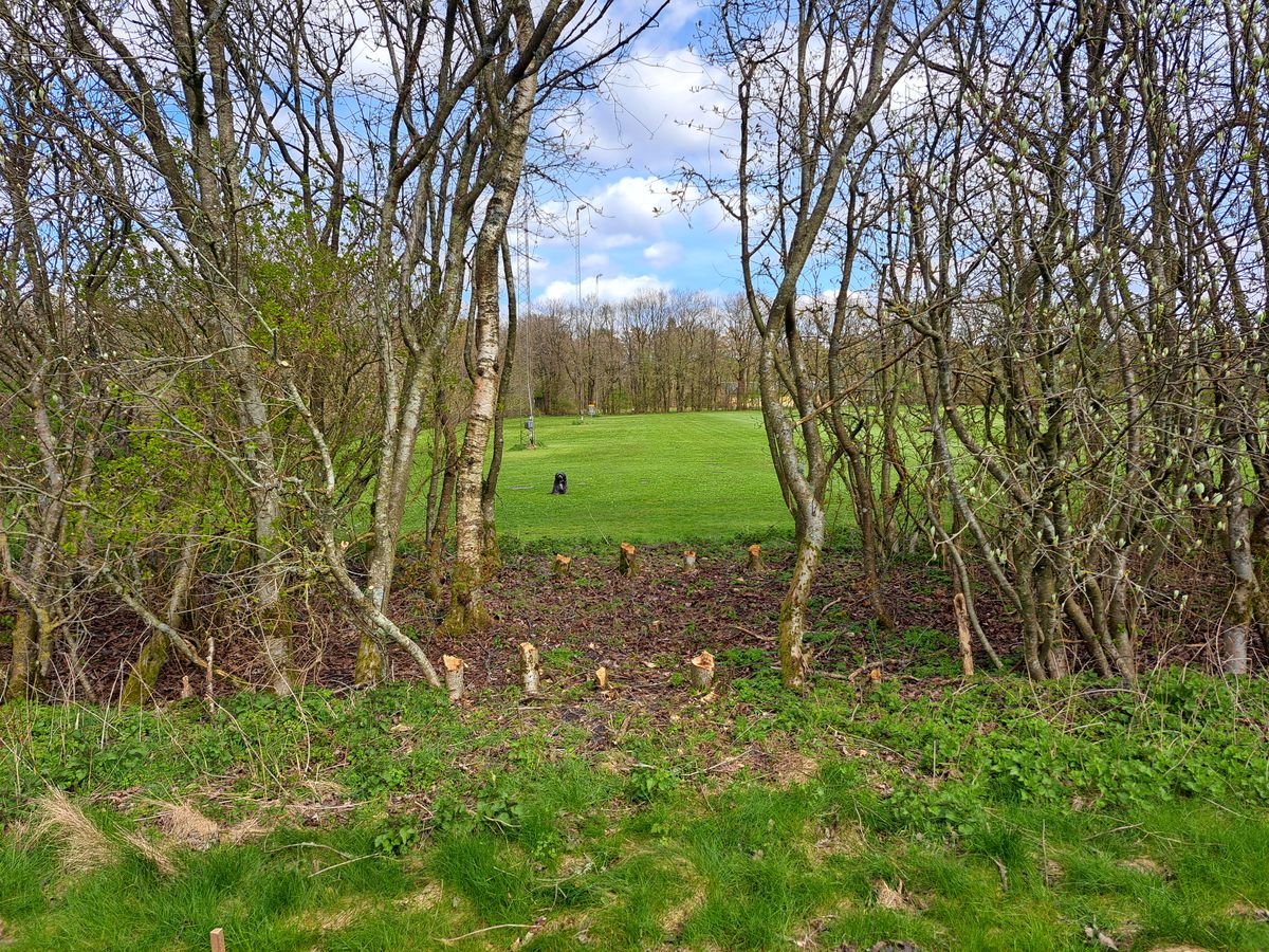 Gap hole 11.