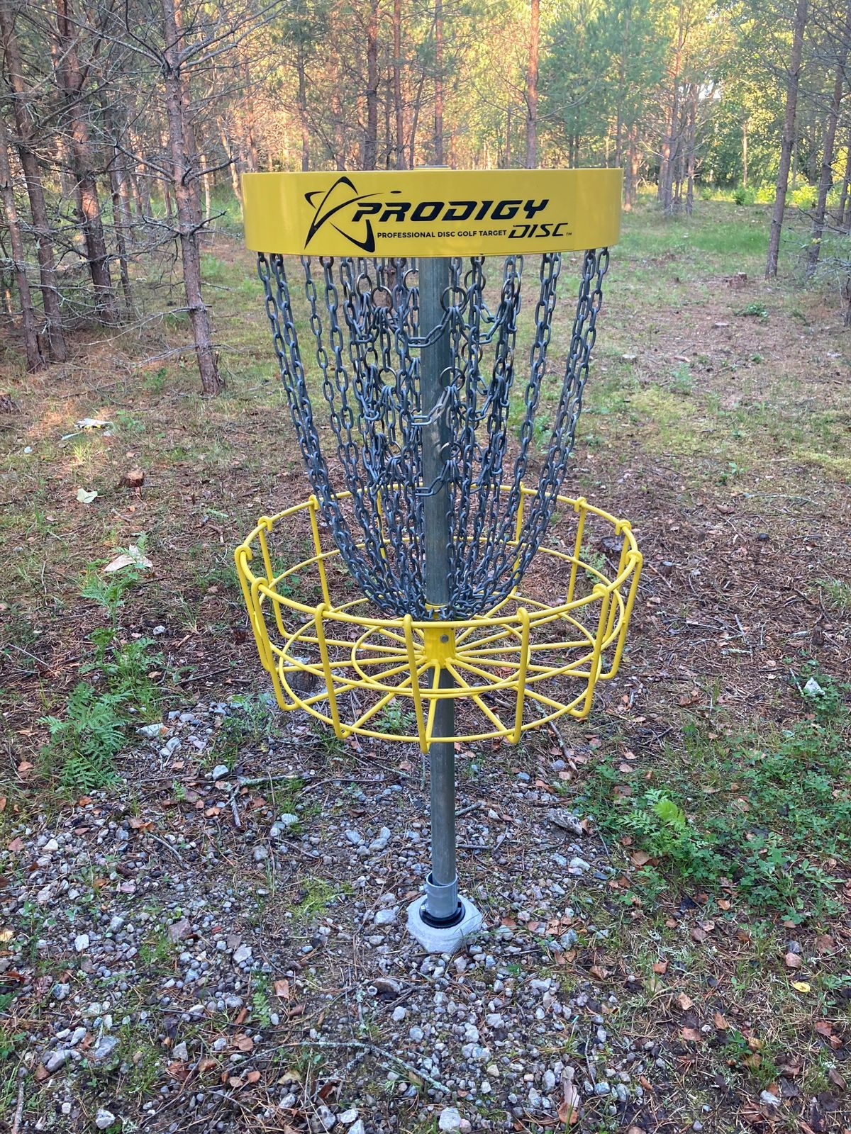 Prodigy T2-korgar.