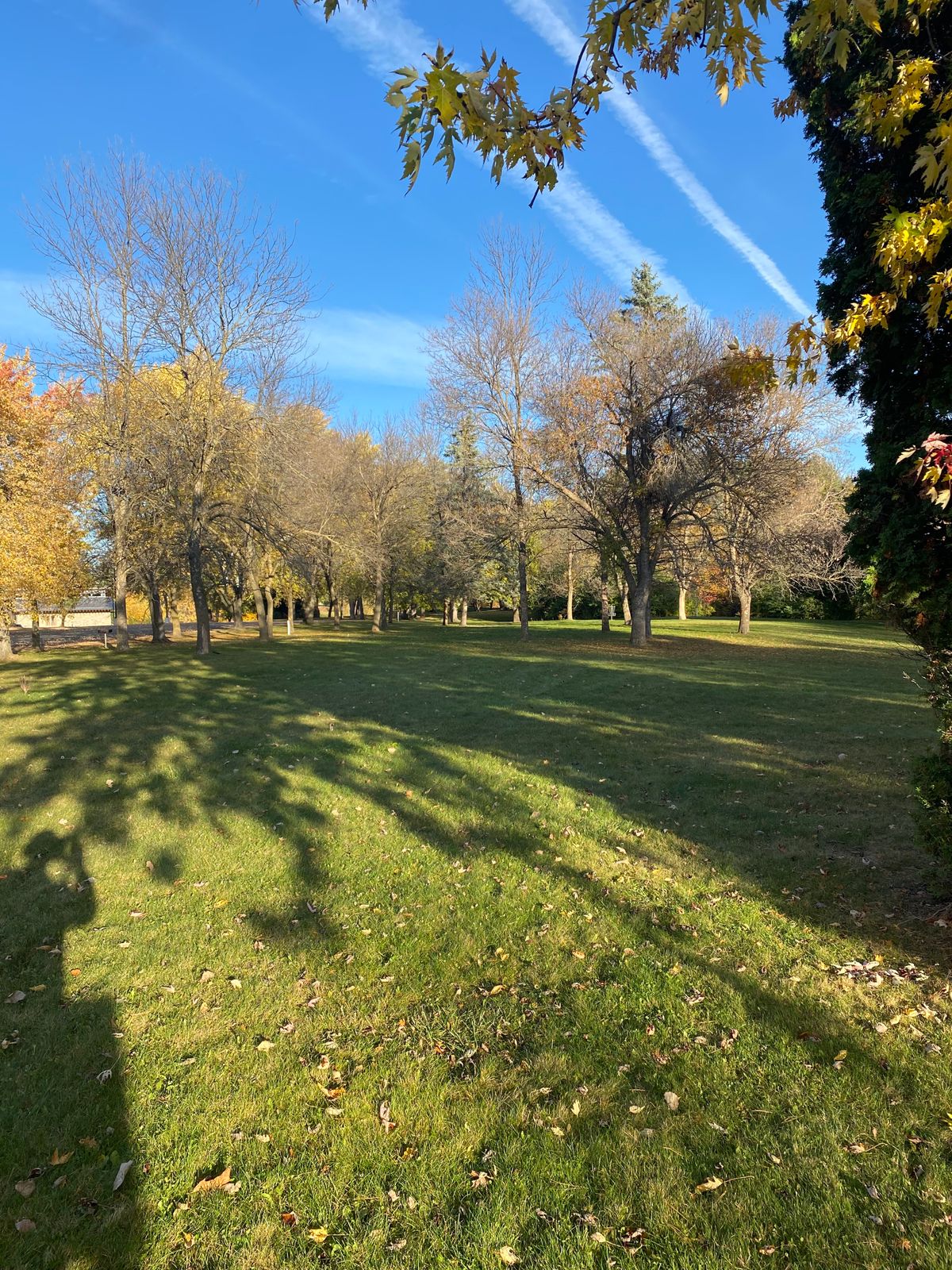Hole 9 tee