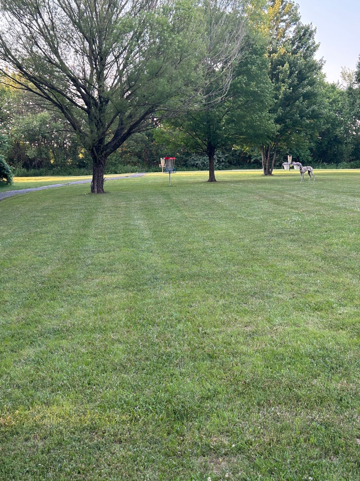 Hole #16 midway point to the basket