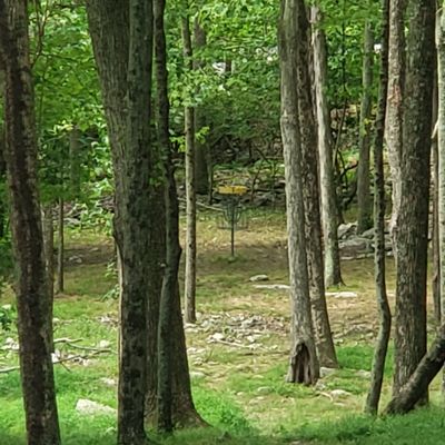 Hole 1 close-up