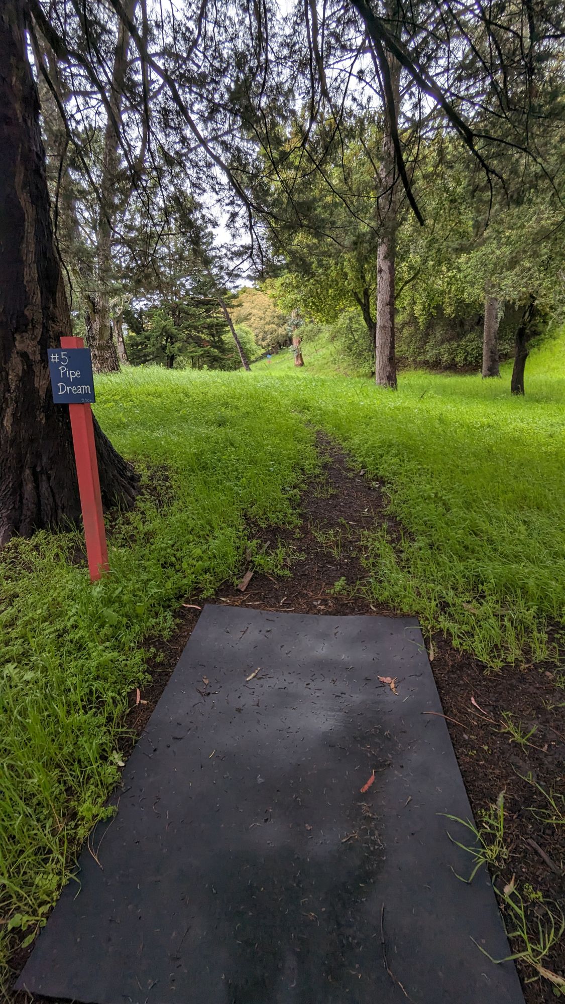 Teepad for 5 - basket straight ahead