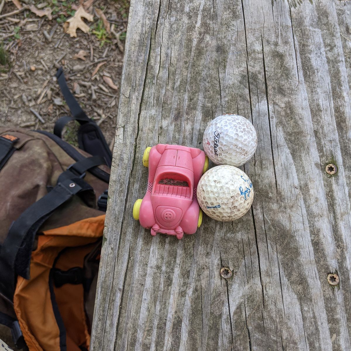 Found these on the course...