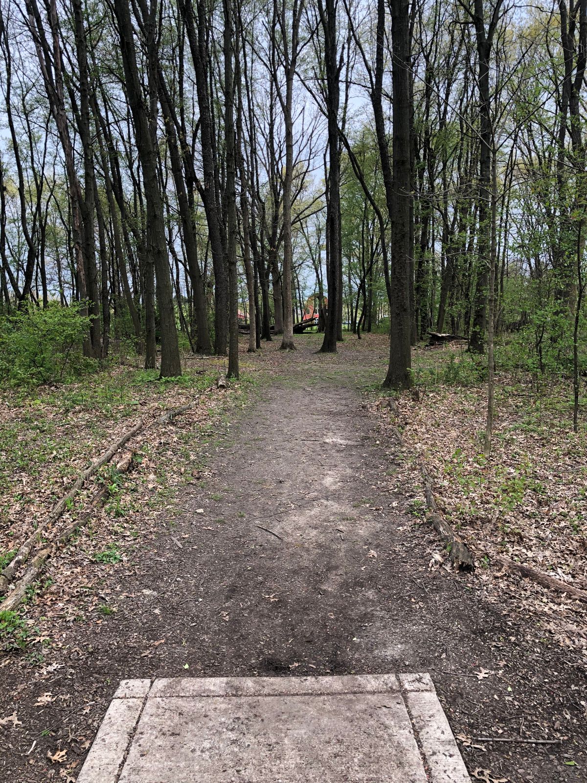 Hole 20 tee