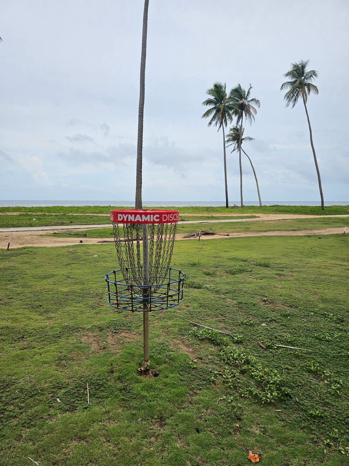 4 basket, just off the water