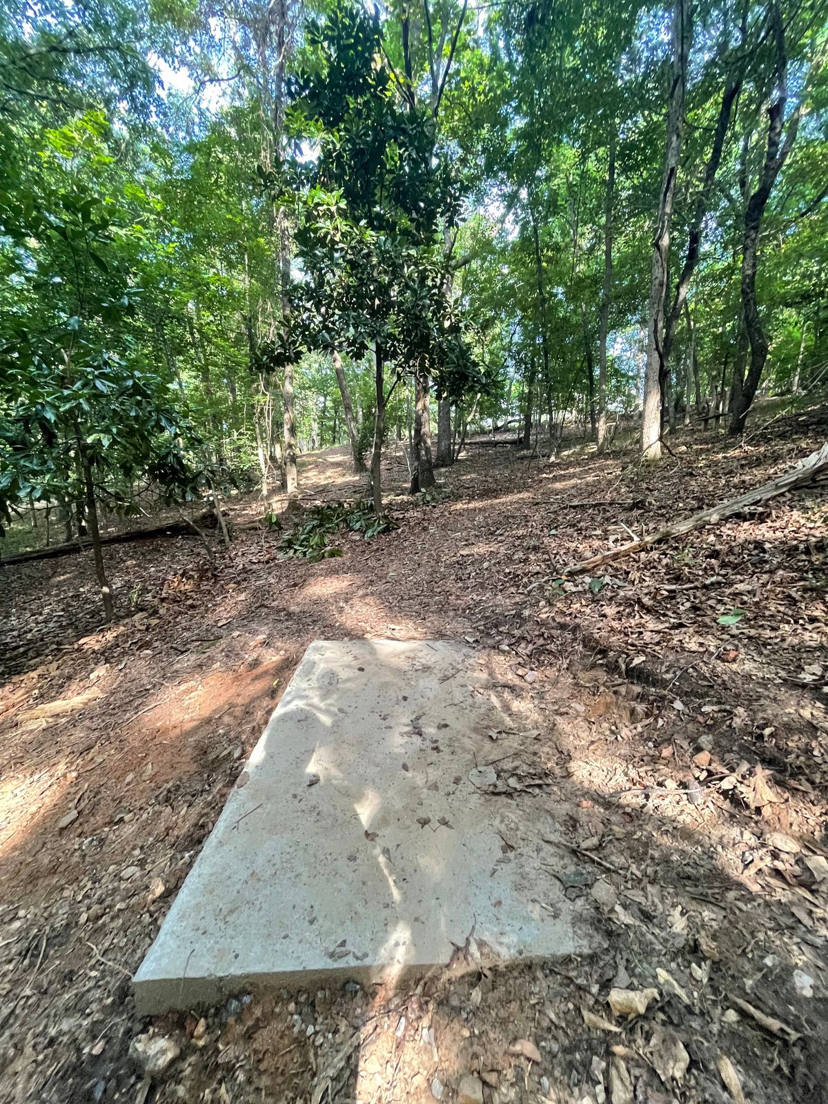 Tee 17 basket will be to the right up the hill on a clearing…