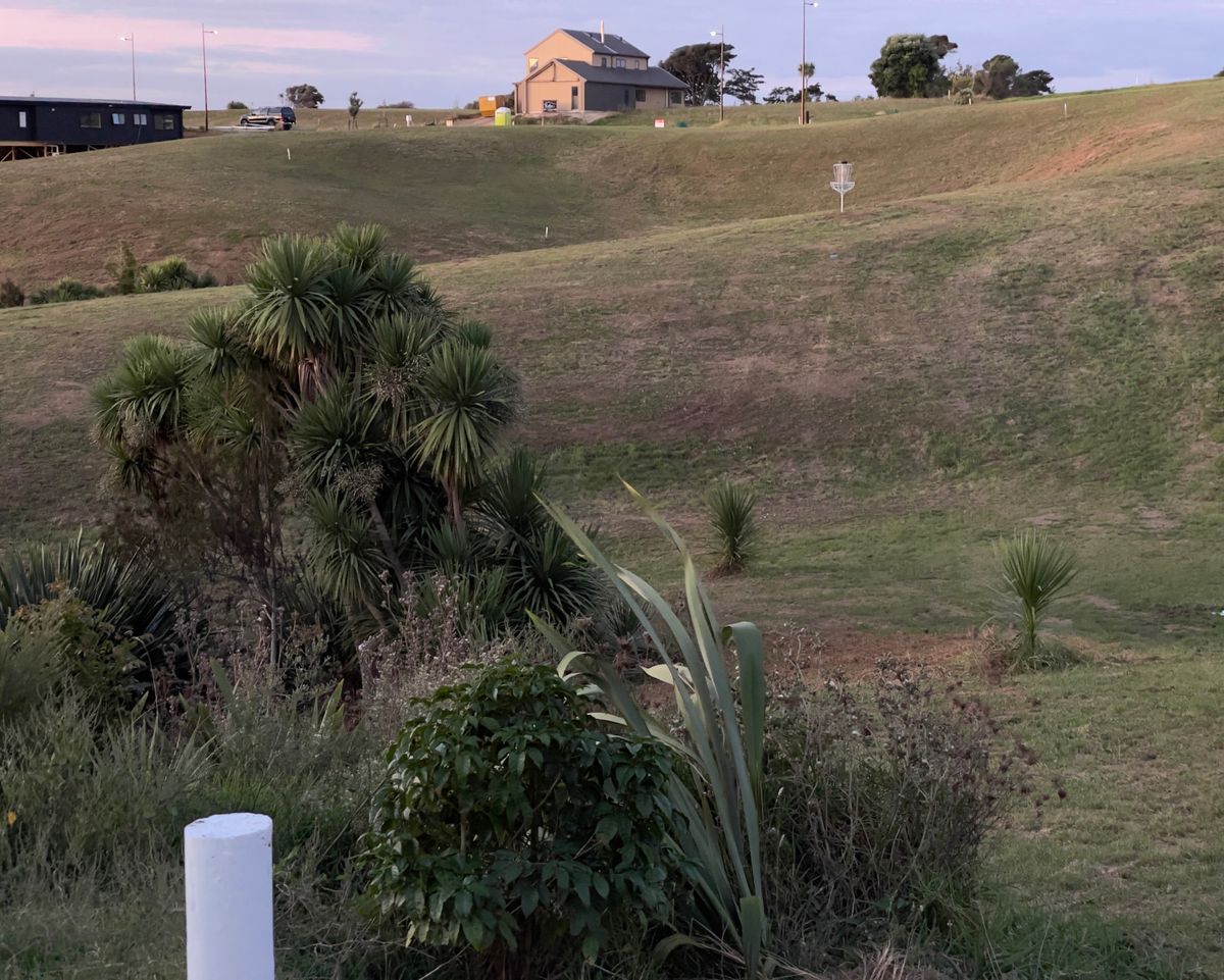 Tee 5