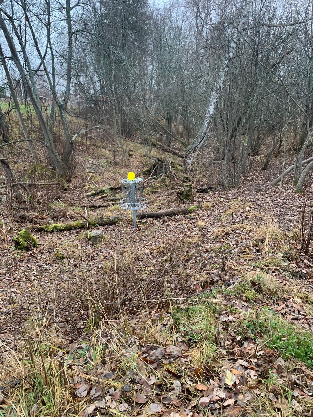 Utsikt från ”landningszonen” på hål 2