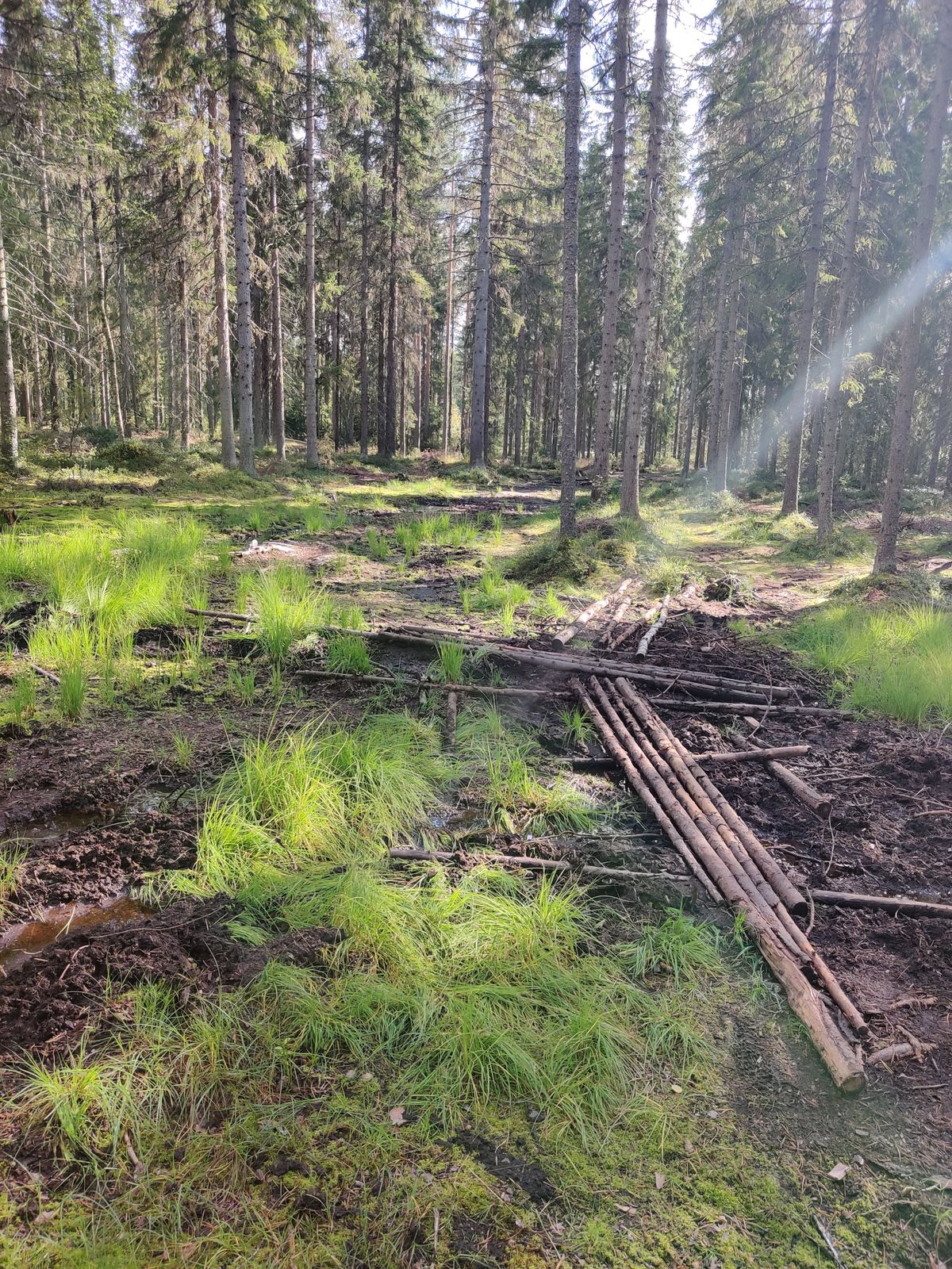 Tällaisia viritelmiä joutunut ihmiset väsäämään että pääsee etenemään väylää kastamatta kenkiä
