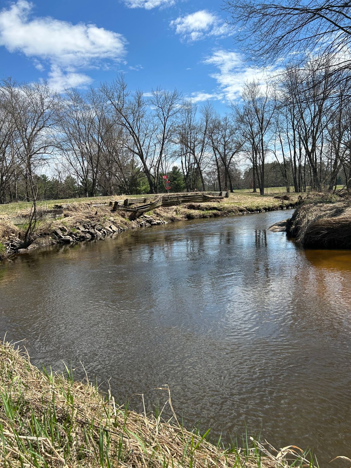 #12 peninsula green