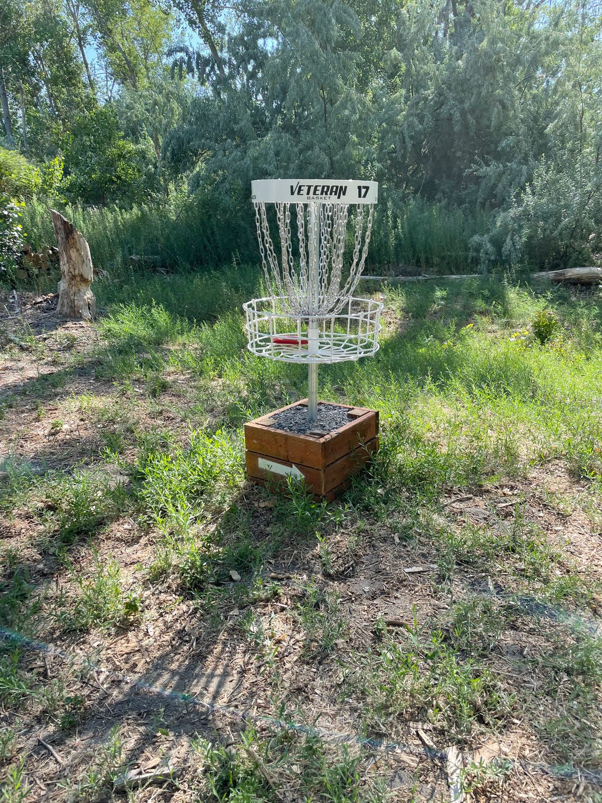 Hole 17 basket