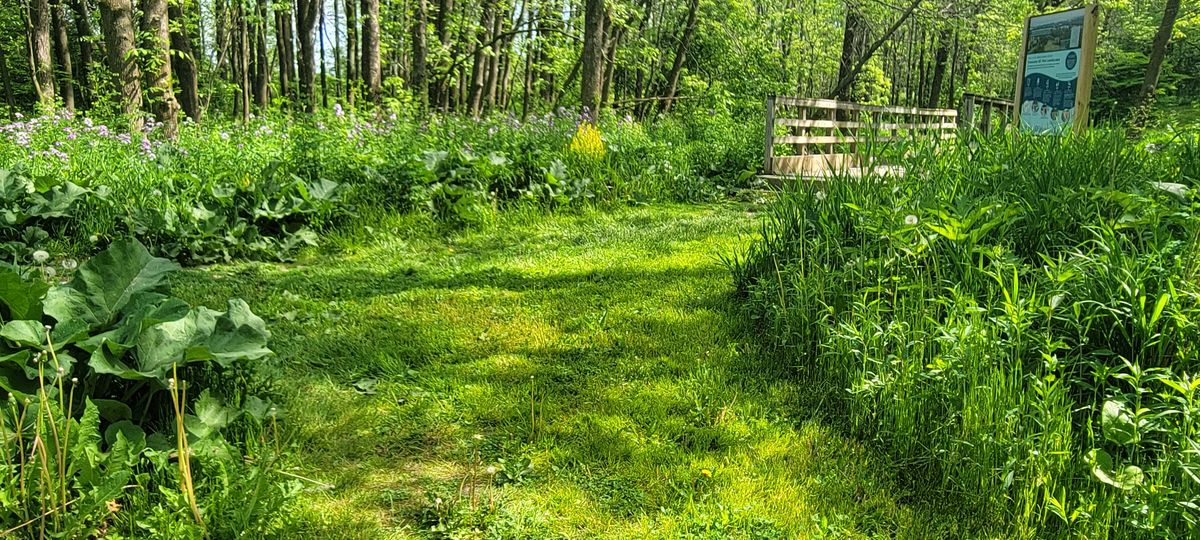 Paths between holes