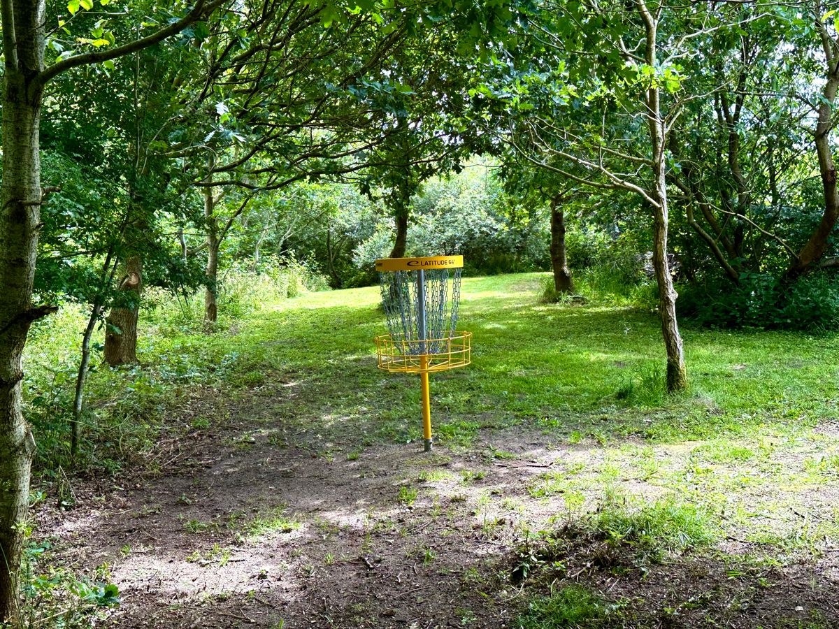 Hole 4 - small Forrest hole with a tricky drive