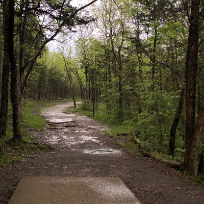 Hole 15