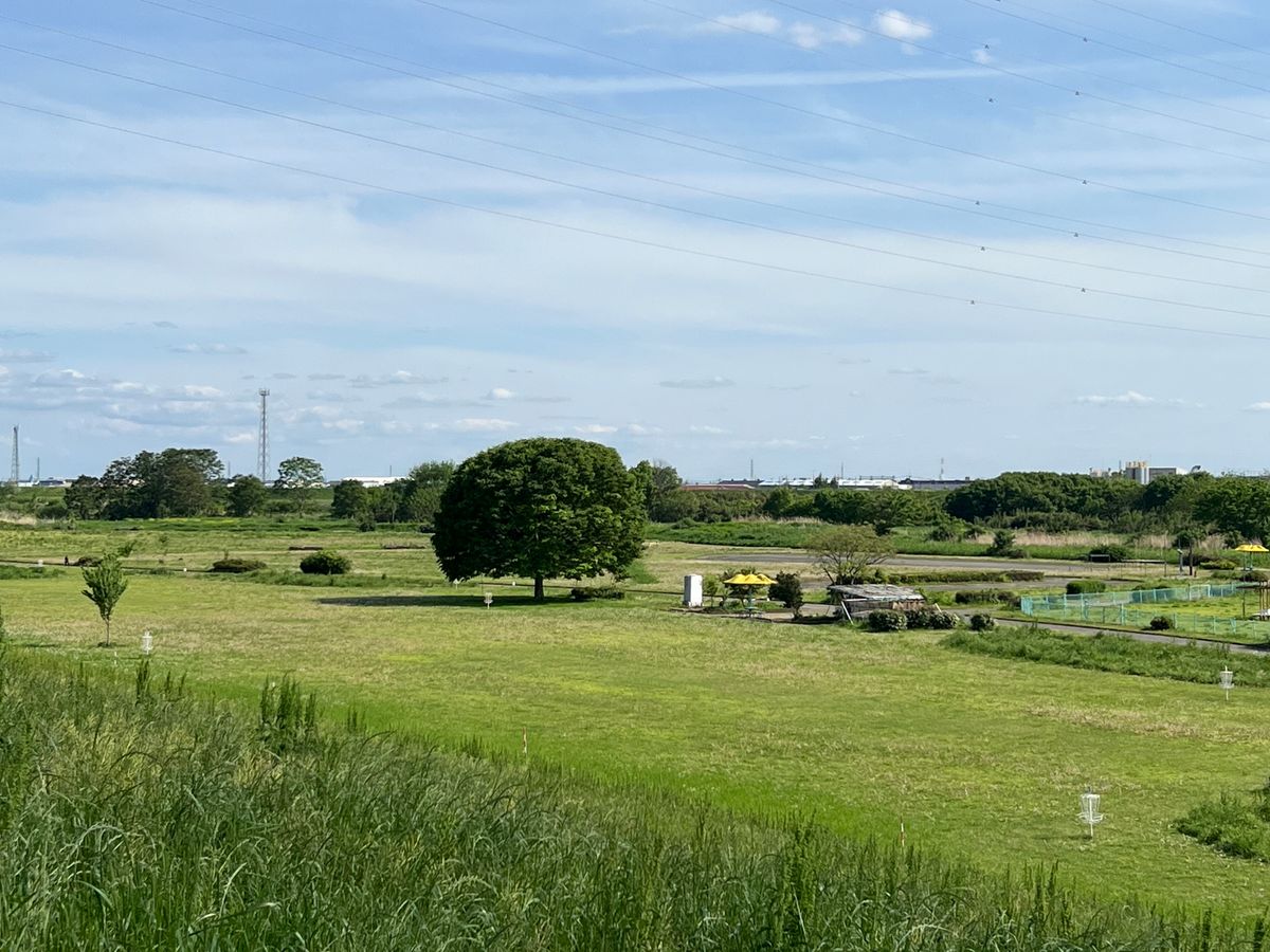 View of most of the course from steps leading down to it.