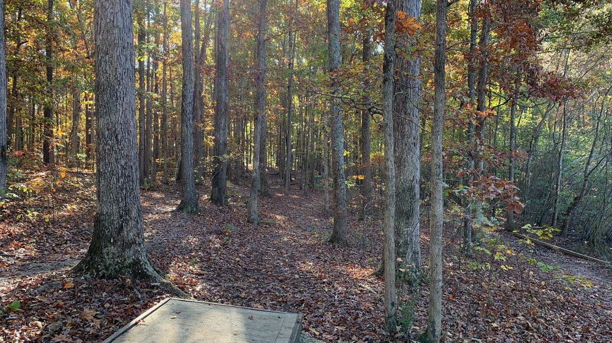 Hole 11